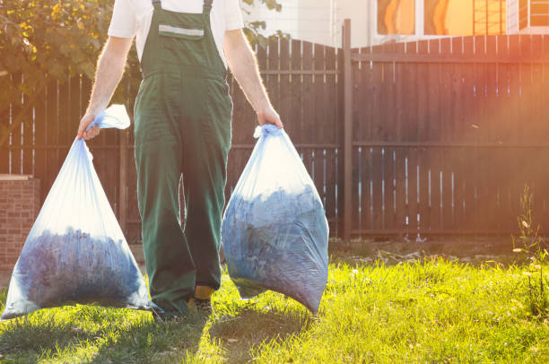 Best Demolition Debris Removal  in Mapleton, MN